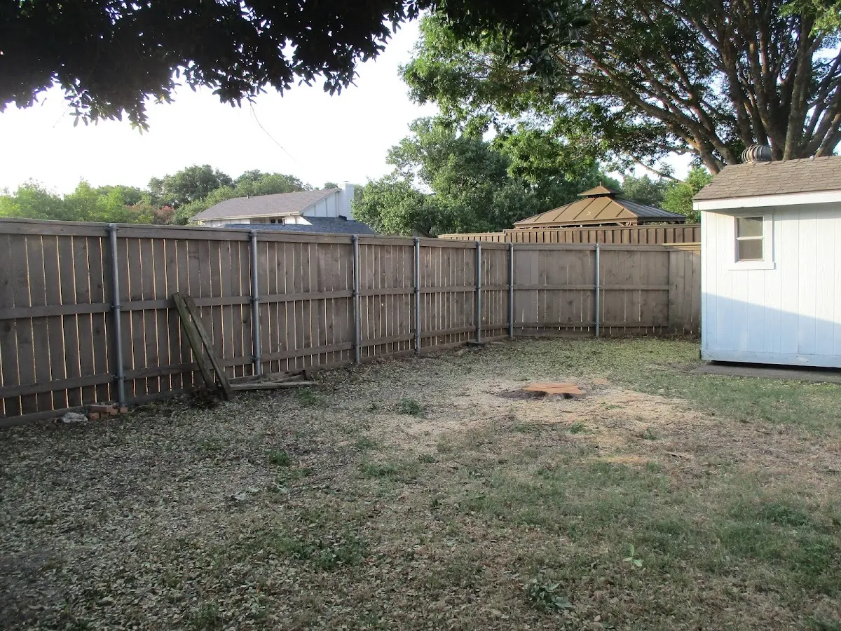 Cleared yard after professional tree removal in Merrillan