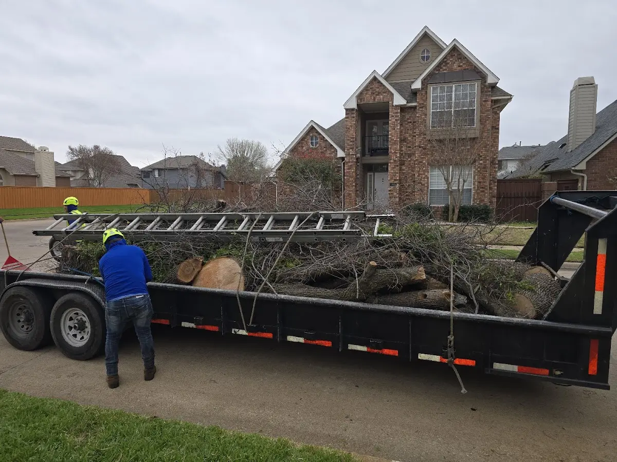 Expert Lot Clearing with proper safety equipment in Merrillan